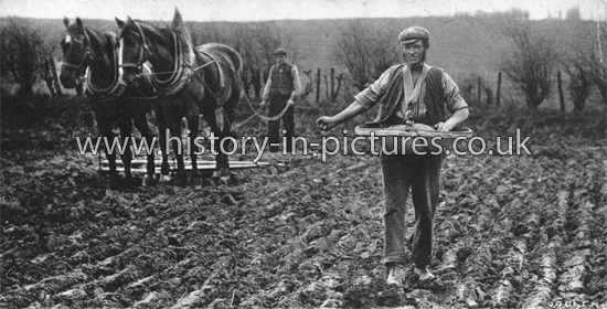 Sowing the Fields by Hand. c.1905
